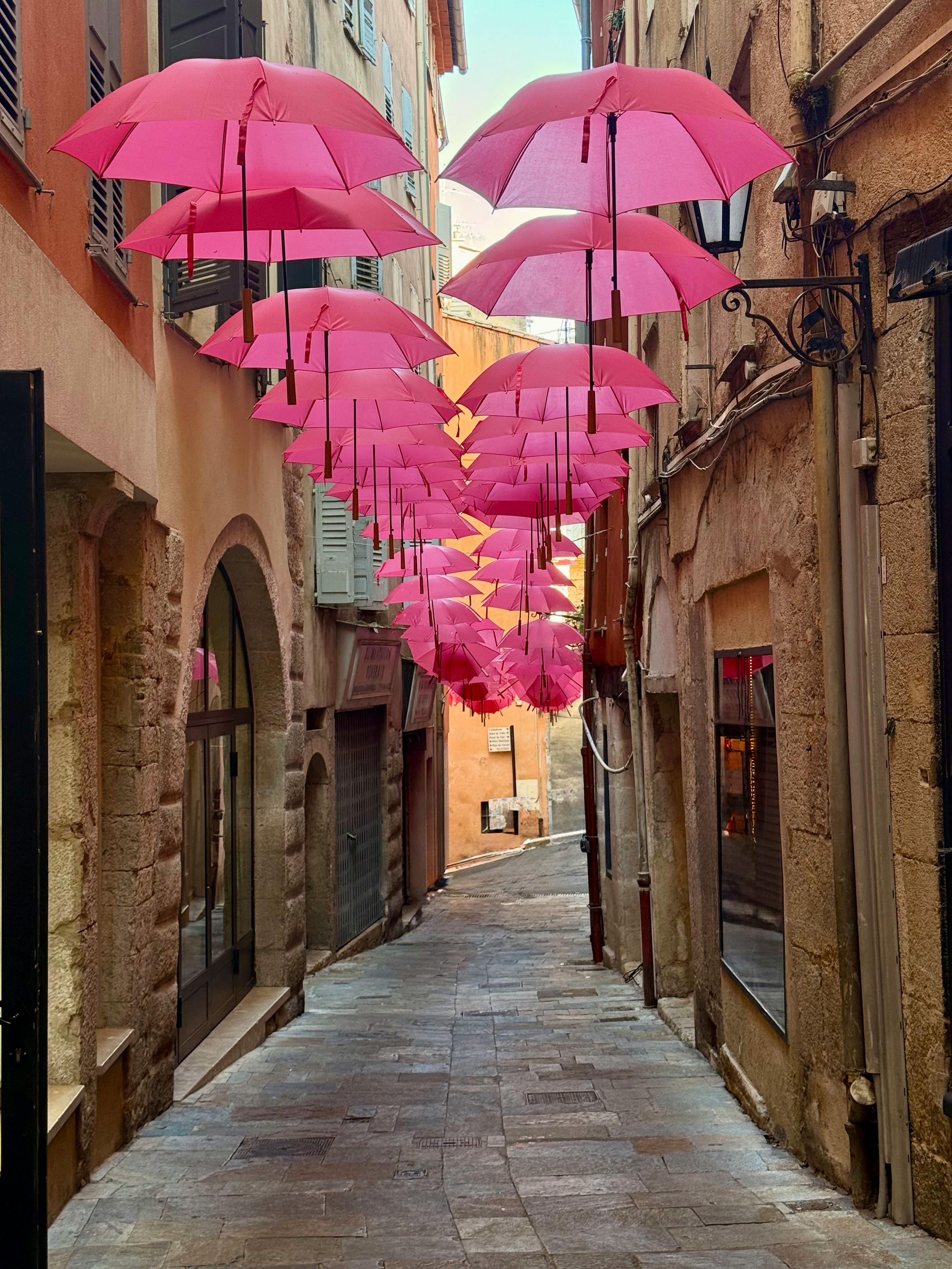 Circuit découverte à GRASSE & PARFUMS